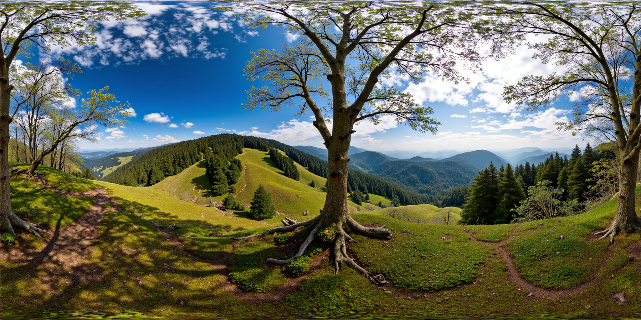 自然风景户外山林草地商业照片
