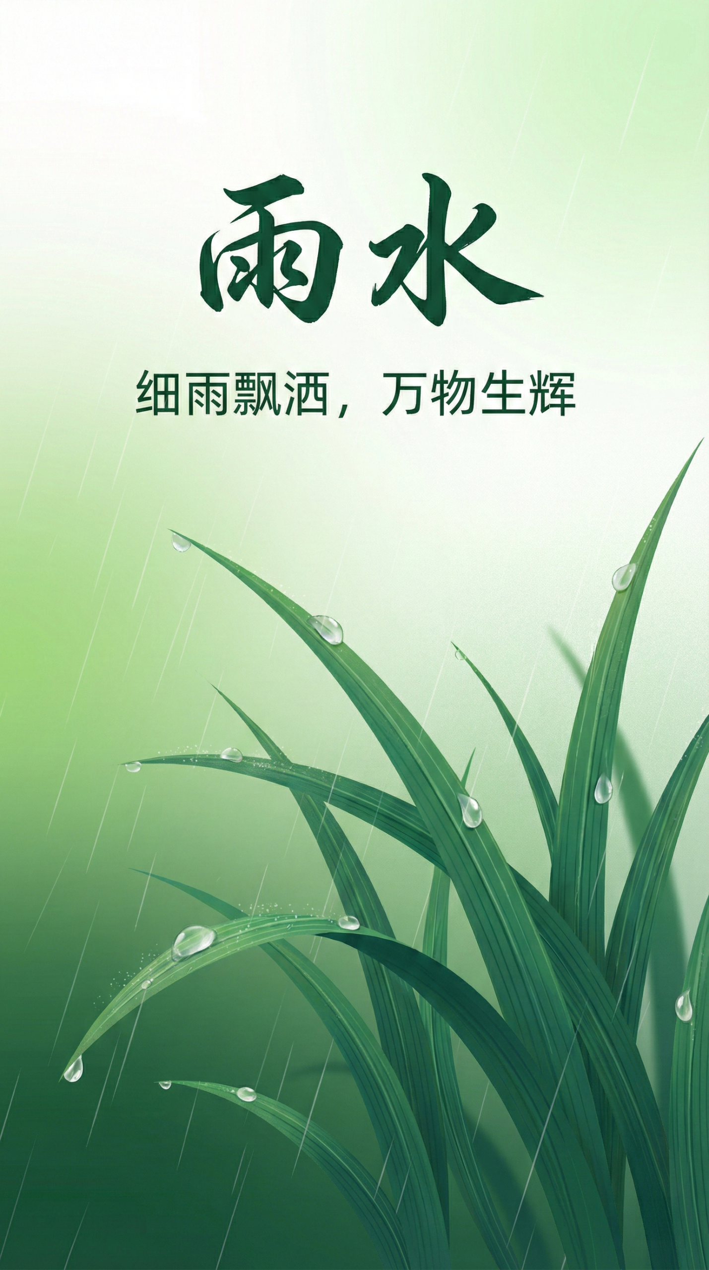 草叶凝露雨水