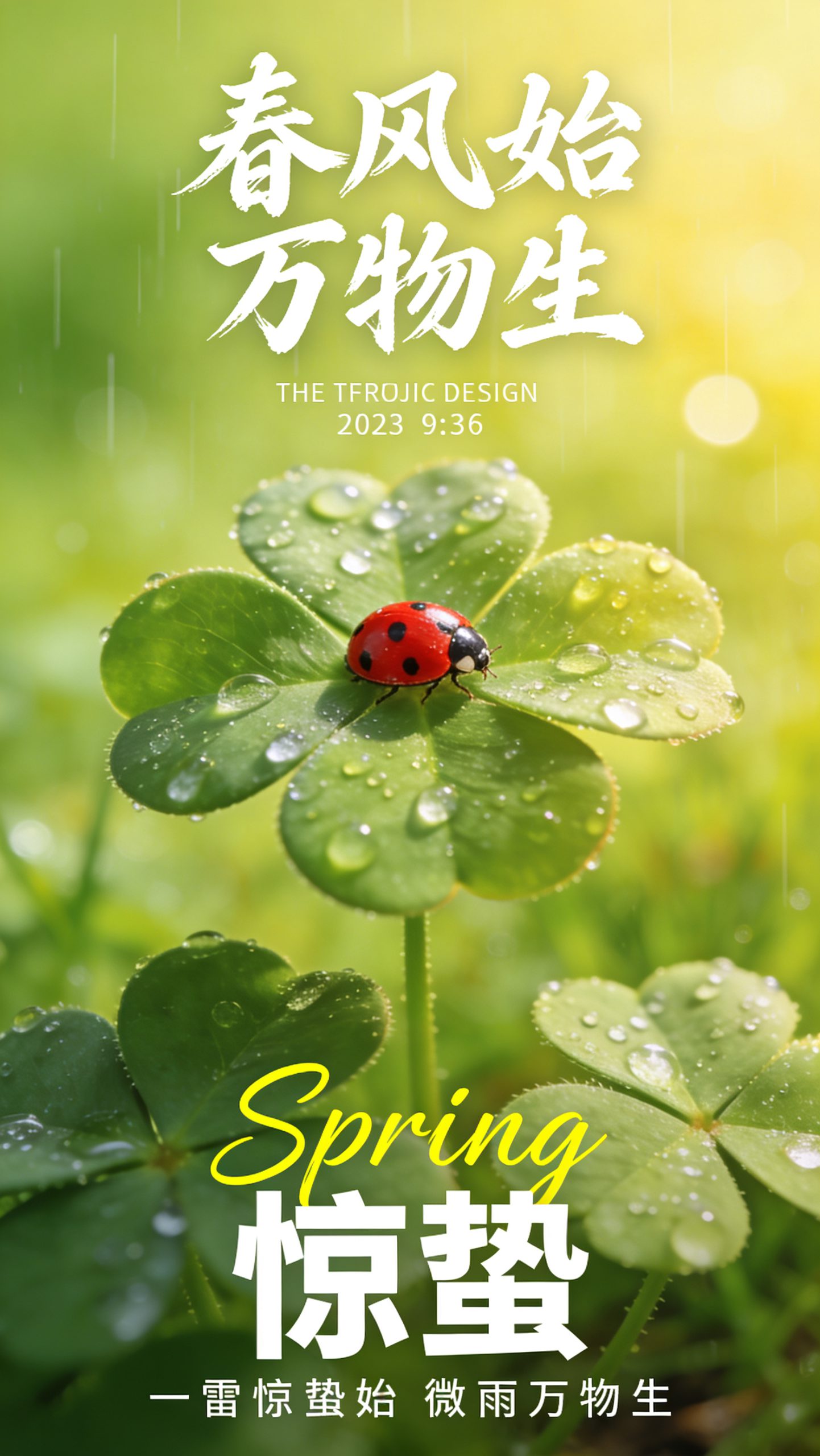 四叶草惊蛰微距海报