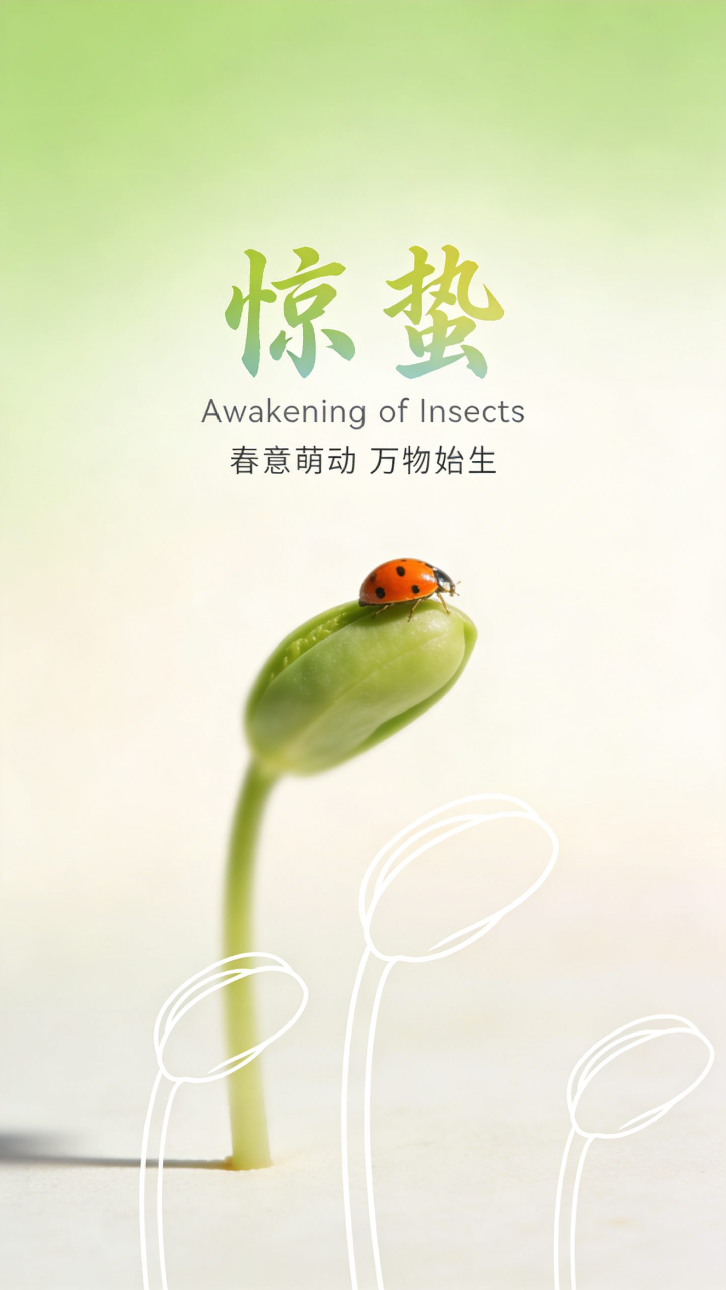 极简朦胧惊蛰海报