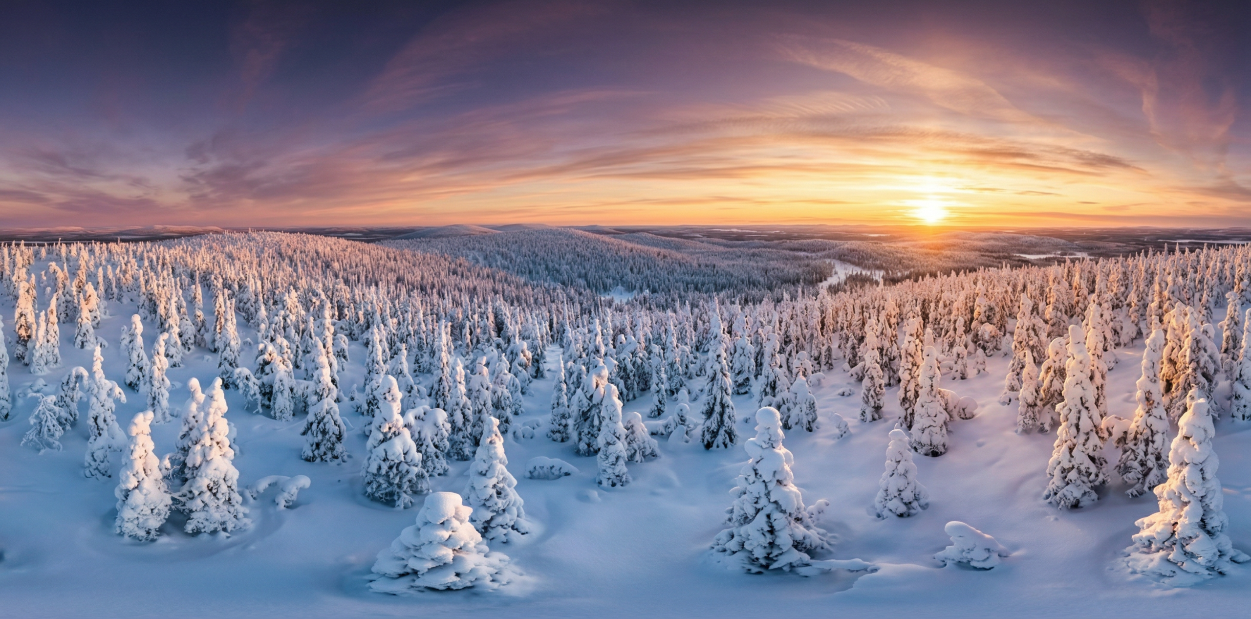 拉普兰极地雪树森林日落360度全景