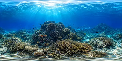海底珊瑚秘境 AI绘画360全景图提示词